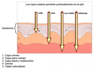 Efectos negativos de la radiación ultravioleta sobre la piel 