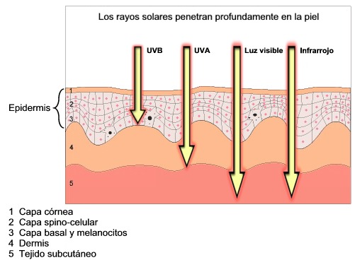 medidor-radiacion-pce-uv34-esquema